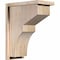 Ekena Millwork Monterey Smooth Corbel w/Backplate, Douglas Fir, 7 1/2"W x 14"D x 18"H COR08X14X18MON01SDF - alternate 1